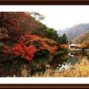 명기원 이미지
