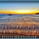 솔잎이슬