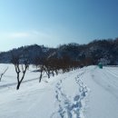 사선대해피랜드사계절썰매장 네이버블로그