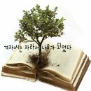 행복의아침 이미지