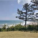 봉길대왕암(문무대왕릉) 이미지