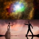 손별농장 이미지