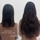 비비붙임머리