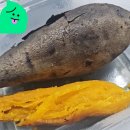 바우하우스인원주 | 근교 1시간 반! 강원도 원주 독채 펜션 '바우하우스인원주' 커플동반 친구 여행 내돈내산 (벽난로 불멍...