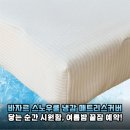 열대야 속 무릉도원을 찾아서! 바자르 스노우쿨 3중직 냉감 매트리스커버 솔직 체험기