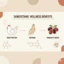 궁궐삼계탕 이미지