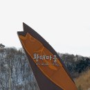 하늘황태덕장 이미지
