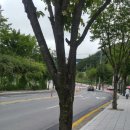 번영로길 이미지