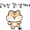 올소플러스 이미지
