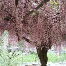 오월의 언덕 이미지