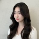 하리헤어 이미지