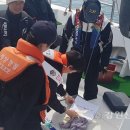 동해-단속-10 이미지