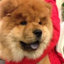 오키도기 이미지