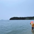 태안바다 이미지