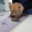 일주카크리닉 이미지