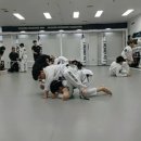 리버스주짓수킥복싱