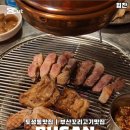 원조꼬리치는돼지 이미지