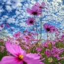 경성대학교 경영대학원 이미지