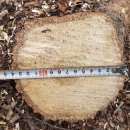 은평-007 이미지