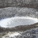 제주청소대통령 이미지
