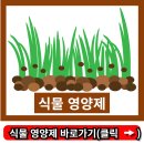고려종합비료 | 식물 영양제 주는 방법 성분 만들기 추천 종류 시기