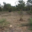 구암동213 이미지