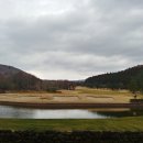 타미우스CC 이미지