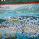 순천복집 Daum카페