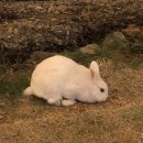 아라아트공방 네이버블로그