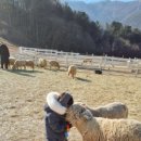 재환목장 네이버블로그