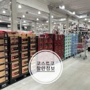 닥터크린랜드 | 코스트코(costco)할인정보, 9월 추석명절 선물세트 가격정보