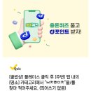 스파르타영어보람학원