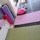 텐세그리티 | 후암동PT 텐세그리티 피트니스클럽 방문한 후기