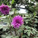 와인터널주차장 이미지