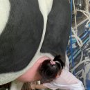 후사랑밀크(환희목장) 이미지