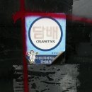 유희하다