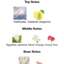 향수 | 메종프란시스커정 724 향수 시향 후기