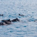 두찜범서점 이미지