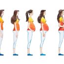 람필라테스