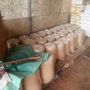 장학순농장 이미지