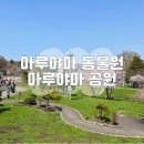 봄 삿포로 아이랑 마루야마 동물원 재방문 마루야마 공원 벚꽃