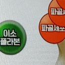 산천흑염소 이미지