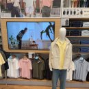 유니클로 윈드블럭스탠드블루종, 에어리즘코튼크루넥티(긴팔) (사이즈, 디테일, 후기)