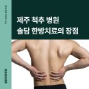 솔담한방병원 이미지