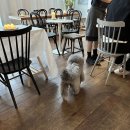 린다민다