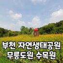 토리 상점 이미지