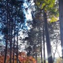 금오산참숯가마찜질방 이미지