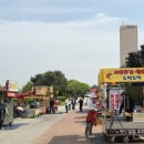 보이는 당구 (100이상)B | 여의도 한강 회전목마, 한강 그네 실제 탑승 후기 2026 서울 스프링 페스티벌 안내