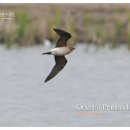 제비초등학교 이미지