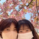 미모아김밥 이미지